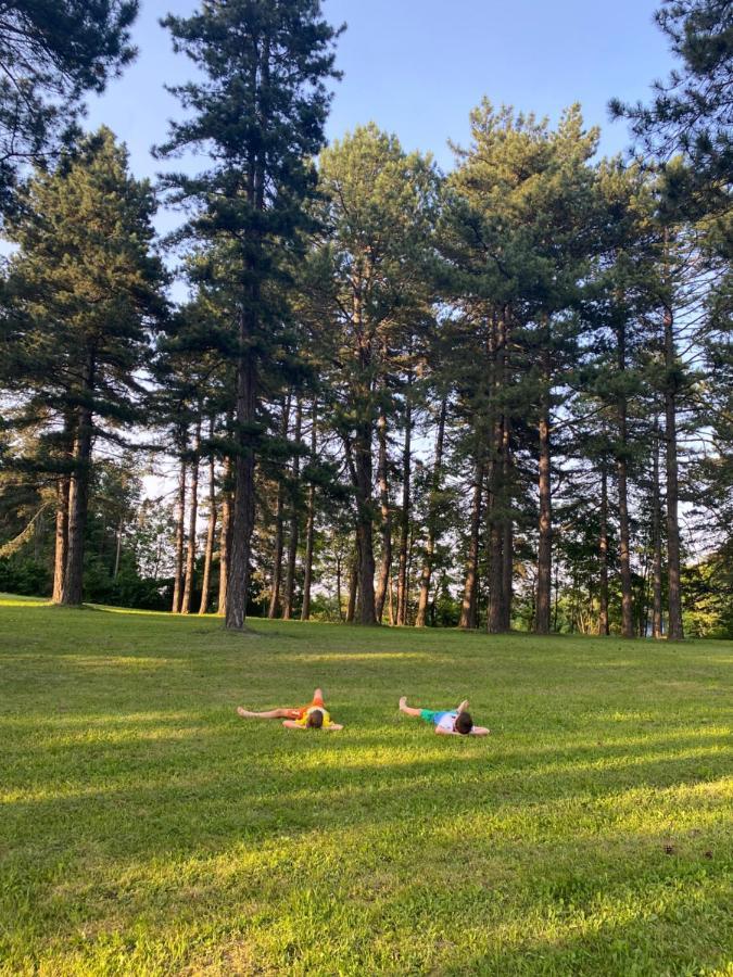 Brvnare Park Borova Villa Zlatibor Eksteriør bilde